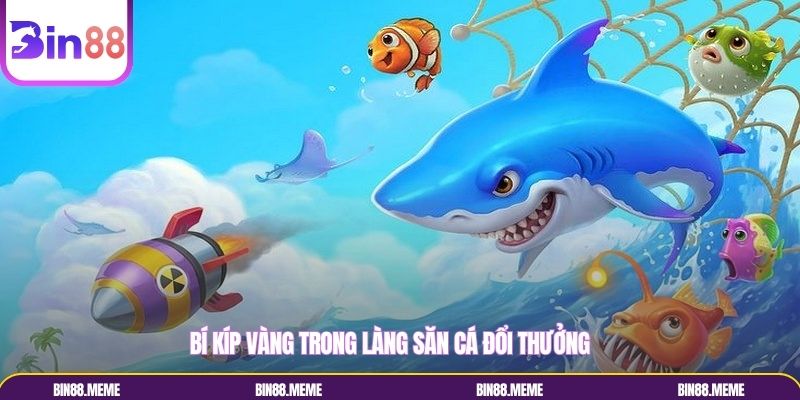 Mẹo săn cá cực đỉnh từ chuyên gia