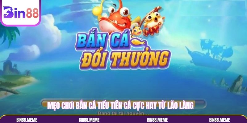Chiến lược chơi bắn cá tiểu tiên cá tối ưu, hiệu quả nhất 2026