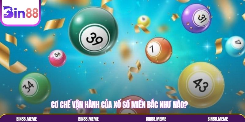 Cơ chế vận hành của xổ số miền Bắc như nào? Cơ chế vận hành của xổ số miền Bắc như nào?